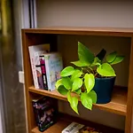 House Rosa Apartament Mali Lošinj