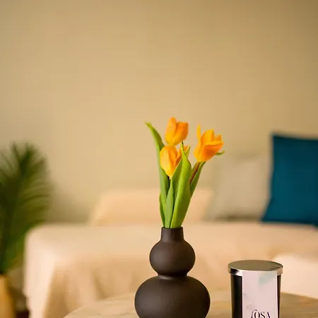 Apartament House Rosa