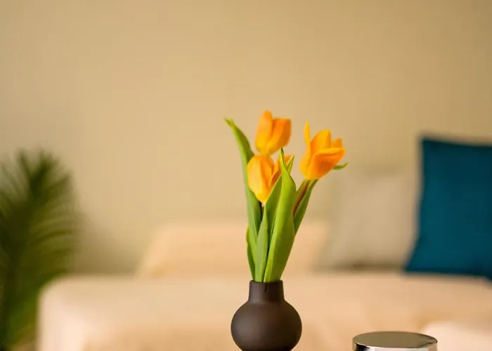 Apartment House Rosa