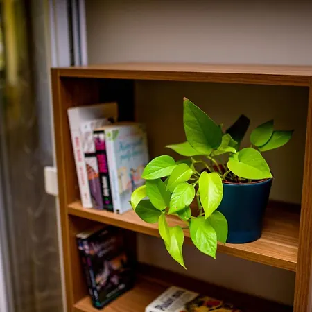 House Rosa Apartman Mali Losinj